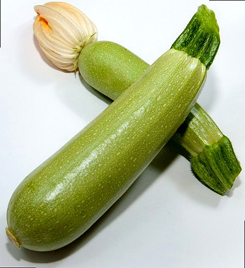 Кабачок Пантеон F1 фото