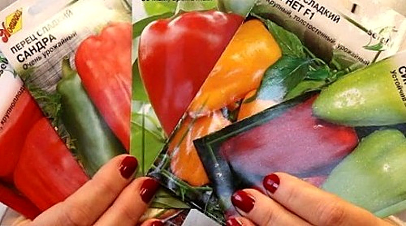 Как выбрать сорт болгарского перца