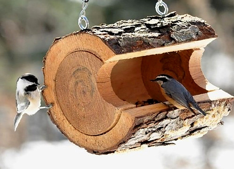 Кормушки для птиц своими руками фото оригинальные идеи