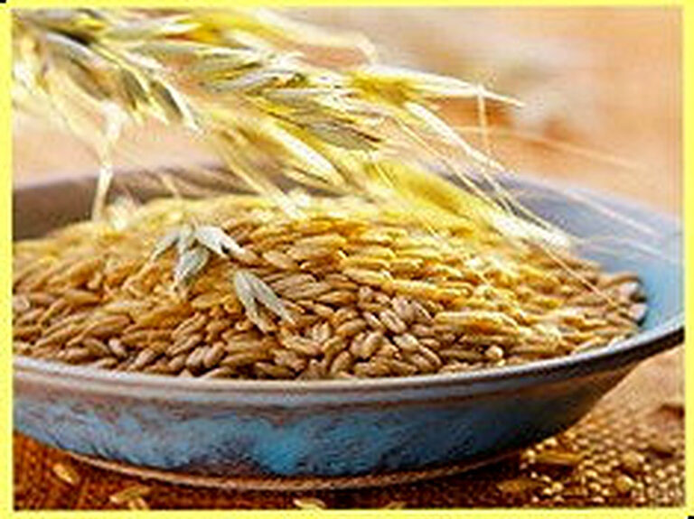 Овёс для заваривания купить в спб