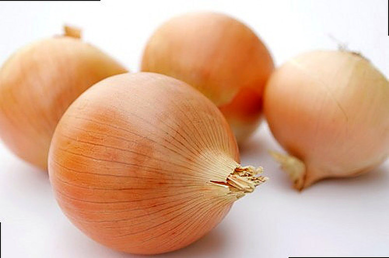 сорт лука Буран фото