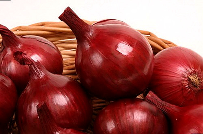 Сорт лука Чёрный принц фото