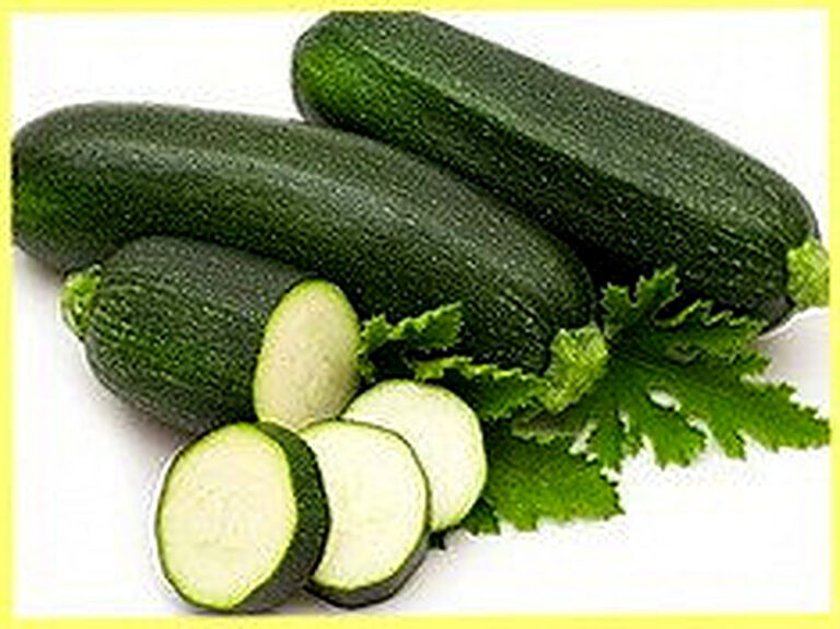 Сорта кабачков с фото и описанием