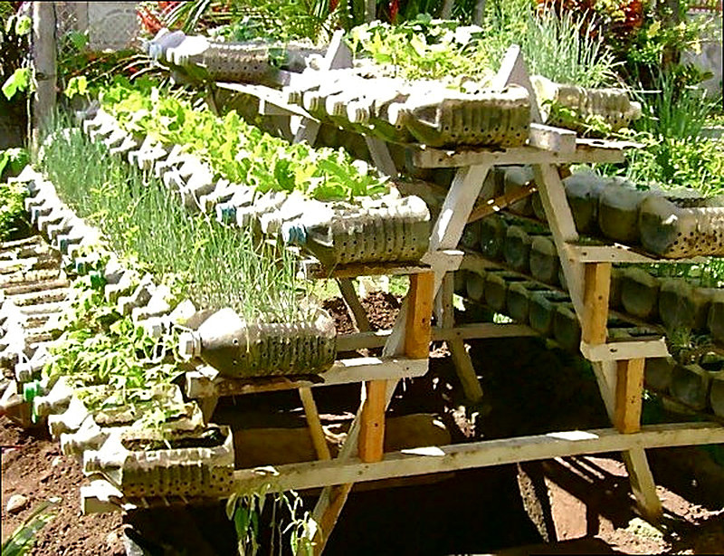 Вертикальные грядки для клубники из пластиковых бутылок