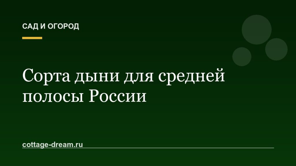 Сорта дыни для средней полосы России