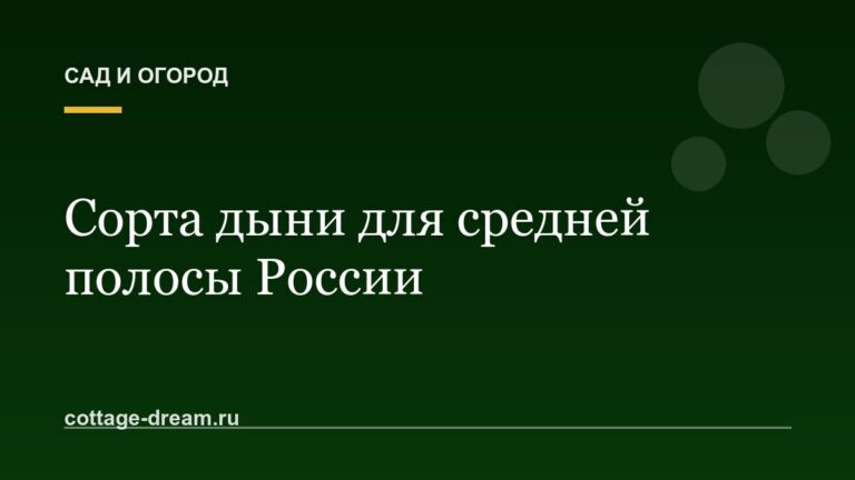 Сорта дыни для средней полосы России