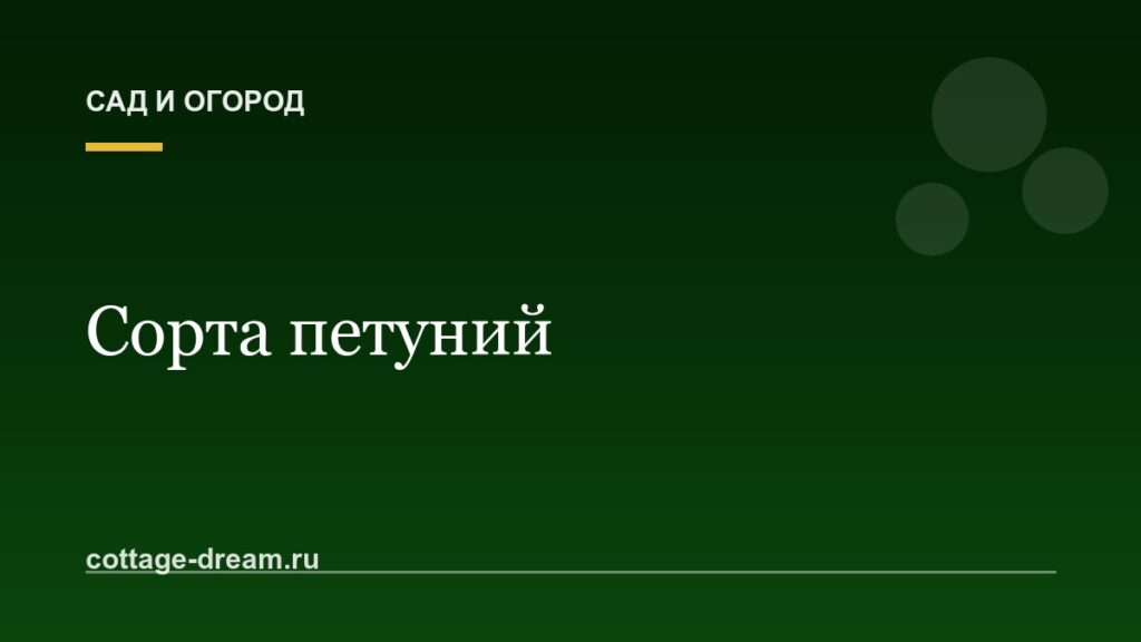 Сорта петуний: названия
