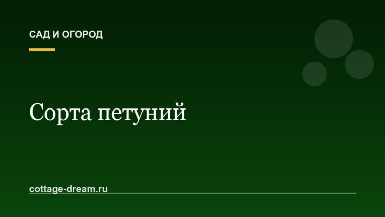 Сорта петуний: названия