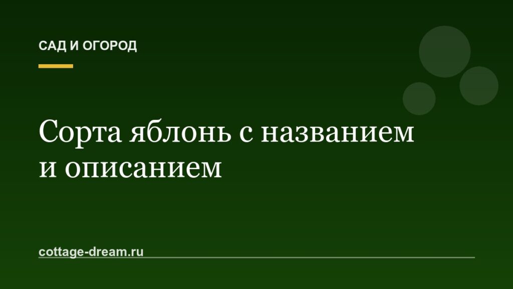 Сорта яблонь с названием и описанием