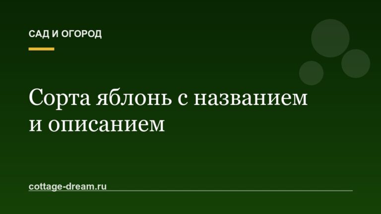 Сорта яблонь с названием и описанием