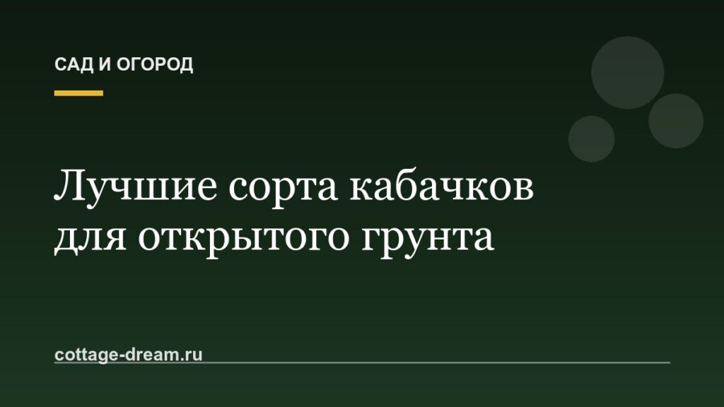 Лучшие сорта кабачков для открытого грунта