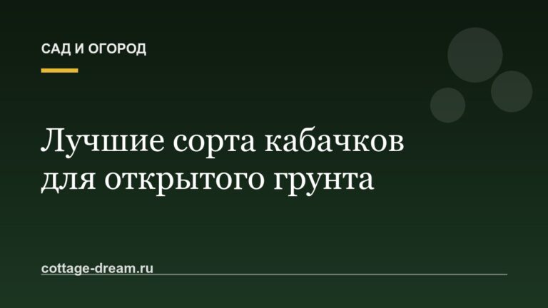 Лучшие сорта кабачков для открытого грунта