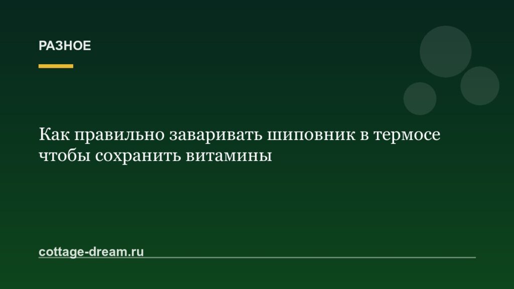 Как правильно заваривать шиповник в термосе чтобы сохранить витамины