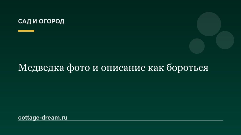 Медведка фото и описание как бороться