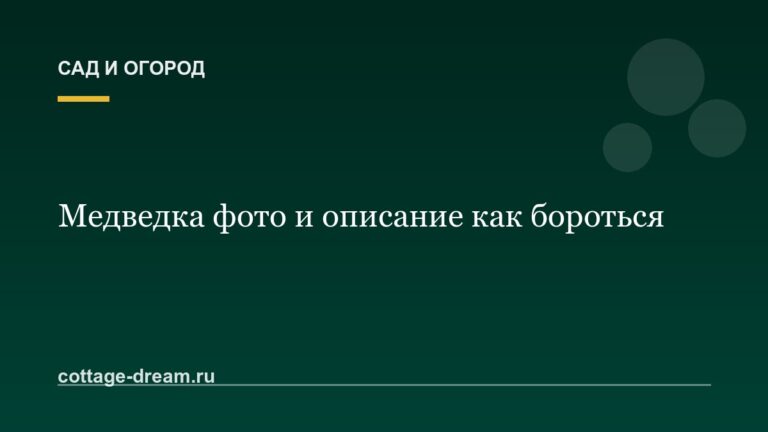 Медведка фото и описание как бороться