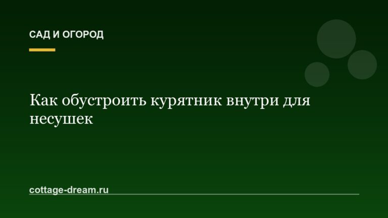 Как обустроить курятник внутри для несушек