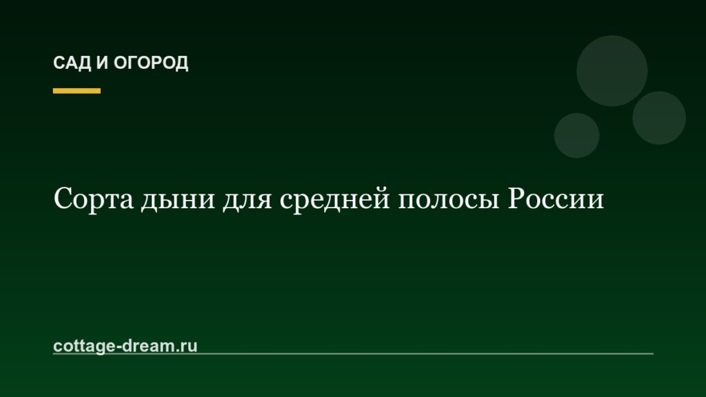 Сорта дыни для средней полосы России: фото