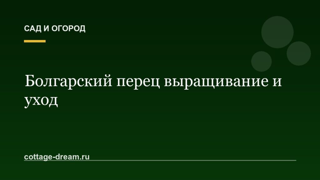 Болгарский перец выращивание и уход