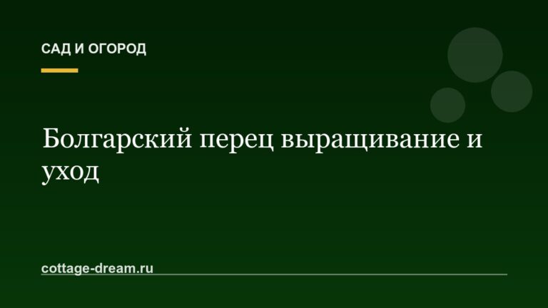 Болгарский перец выращивание и уход