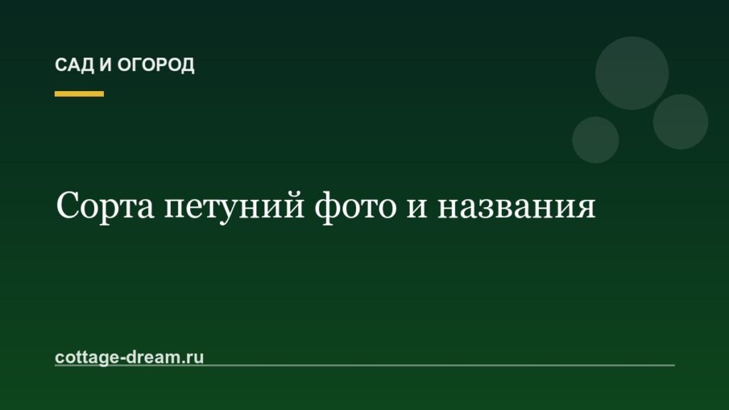 Сорта петуний фото и названия
