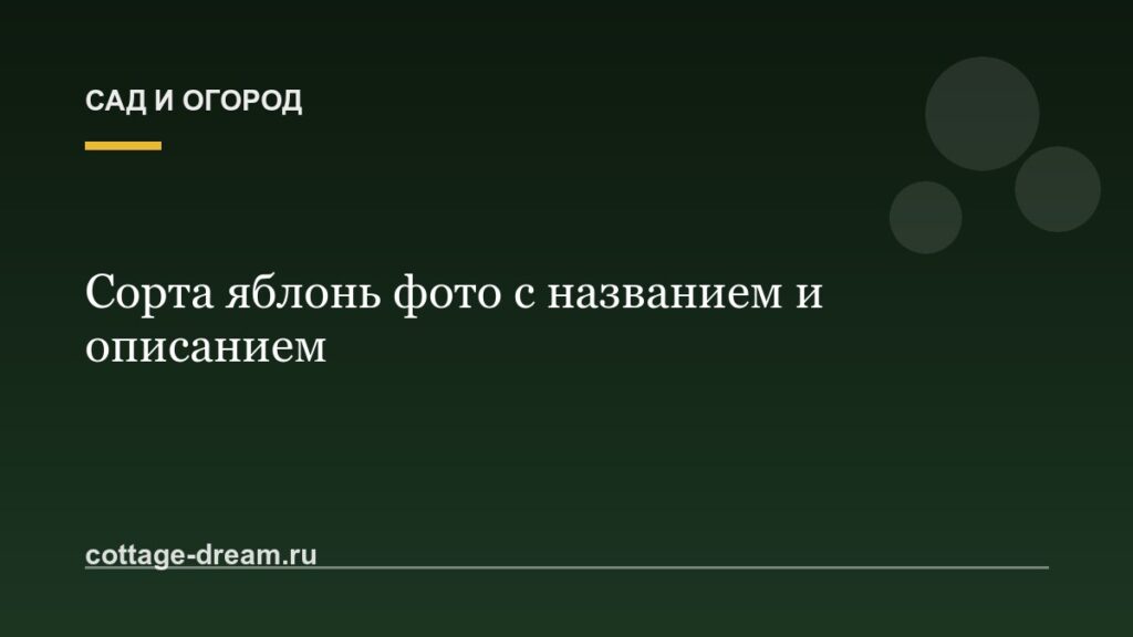 Сорта яблонь фото с названием и описанием