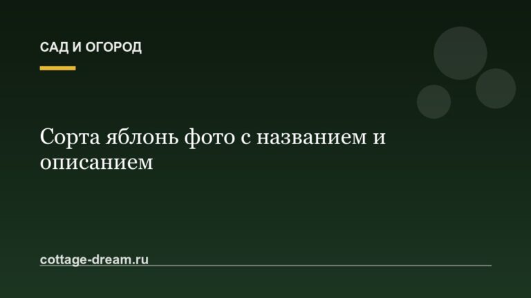 Сорта яблонь фото с названием и описанием
