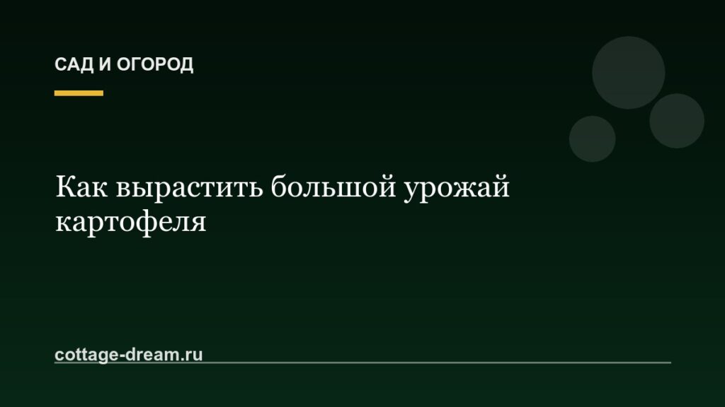 Как вырастить большой урожай картофеля