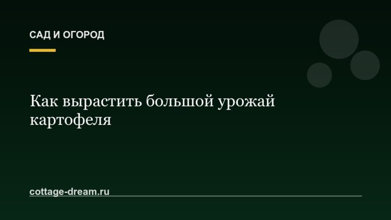 Как вырастить большой урожай картофеля