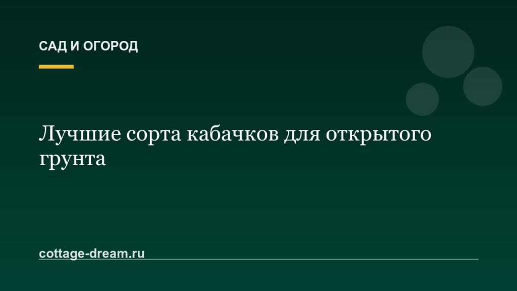 Лучшие сорта кабачков для открытого грунта