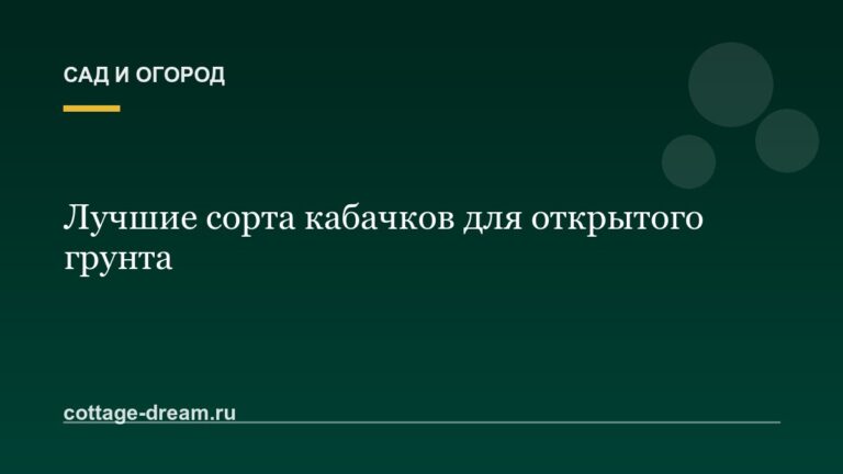 Лучшие сорта кабачков для открытого грунта