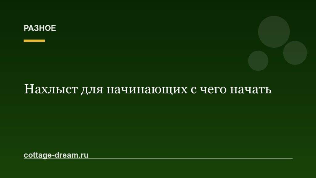Нахлыст для начинающих с чего начать