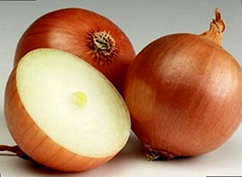 Репчатый сорт лука фото