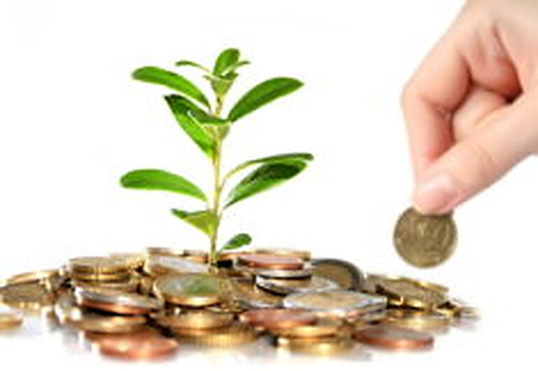 Бизнес на лето с минимальными вложениями