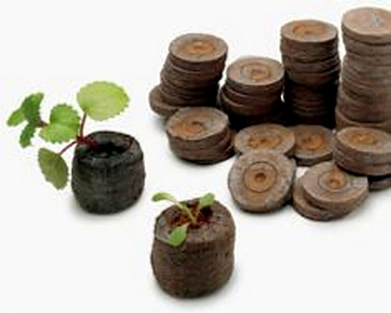 Торфяные таблетки для рассады как пользоваться