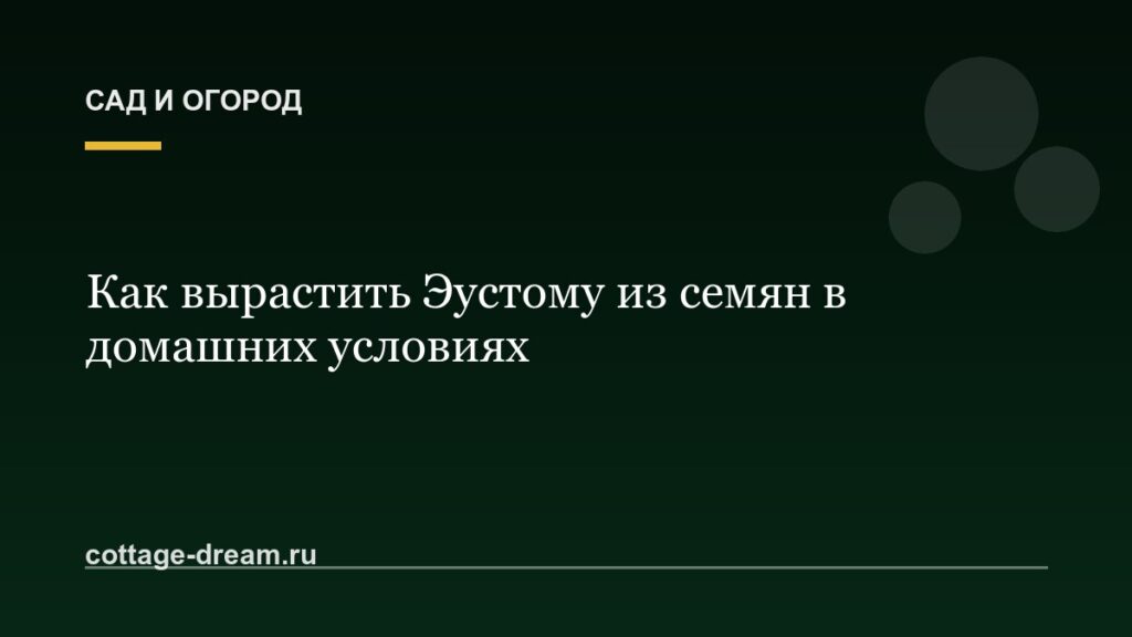 Как вырастить Эустому из семян в домашних условиях