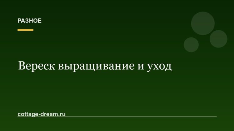 Вереск выращивание и уход