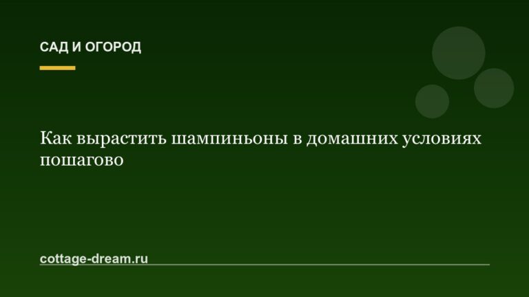 Как вырастить шампиньоны в домашних условиях пошагово