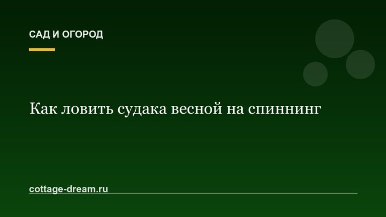 Как ловить судака весной на спиннинг