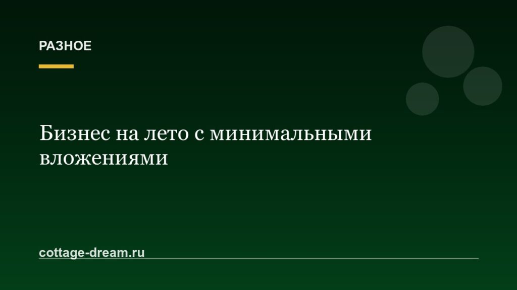 Бизнес на лето с минимальными вложениями