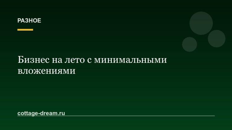 Бизнес на лето с минимальными вложениями