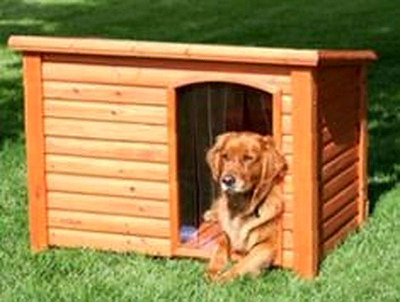 Как построить собачью будку своими руками чертежи