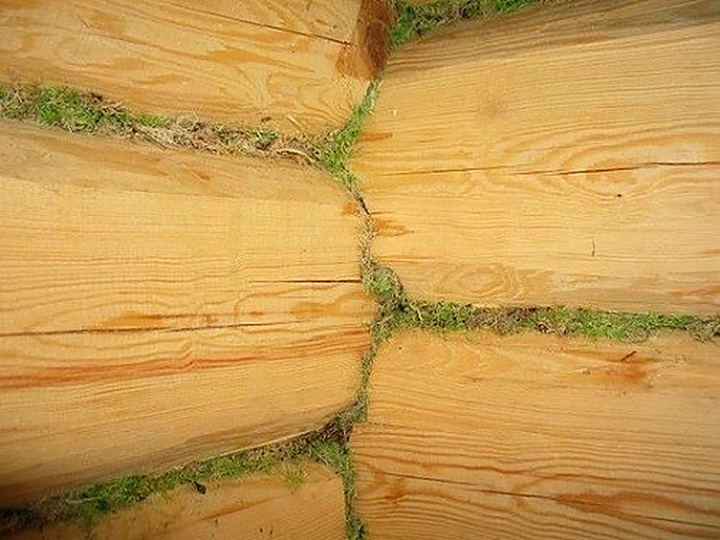 Межвенцовый утеплитель из мха