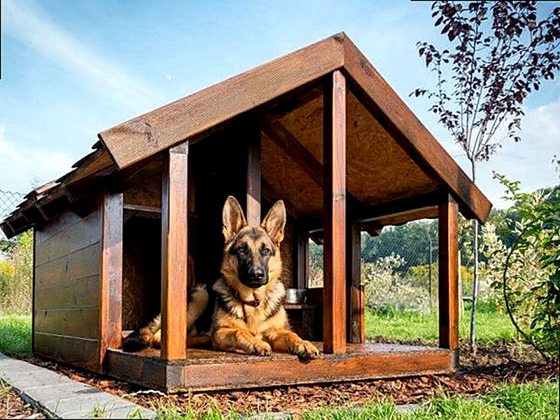 Собачья будка из фанеры