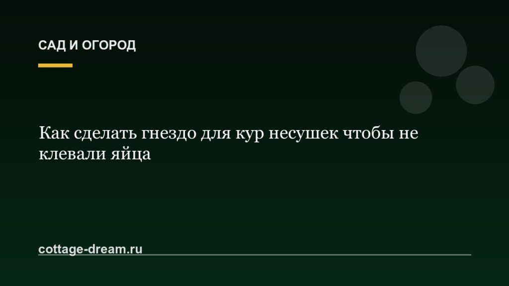 Как сделать гнездо для кур несушек чтобы не клевали яйца