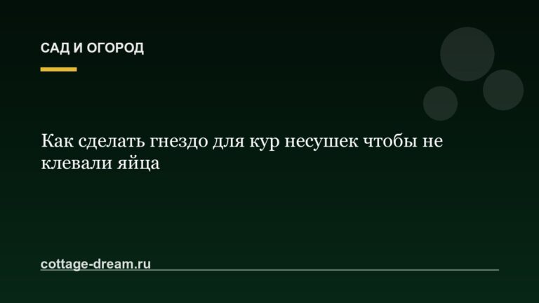 Как сделать гнездо для кур несушек чтобы не клевали яйца
