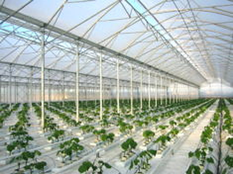 Фермерские теплицы под ключ цена с отоплением