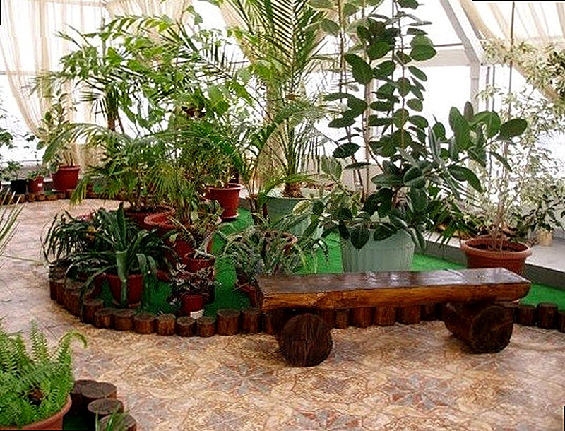 Как выбрать место под зимний сад в квартире