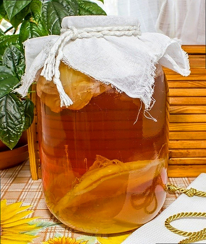 Применение чайного гриба в народной медицине