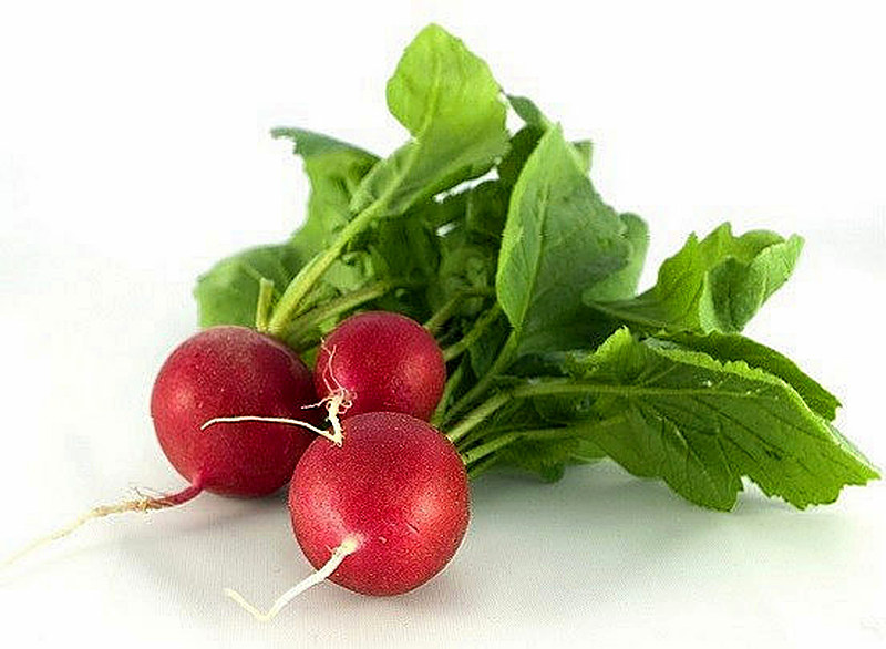 Редиска
