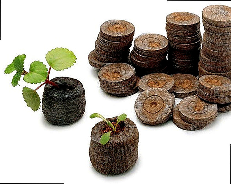 Торфяные таблетки для рассады описание и фото